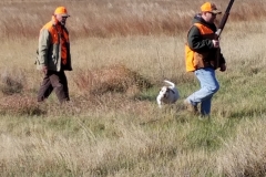 2017-10-27_11.40.15-1